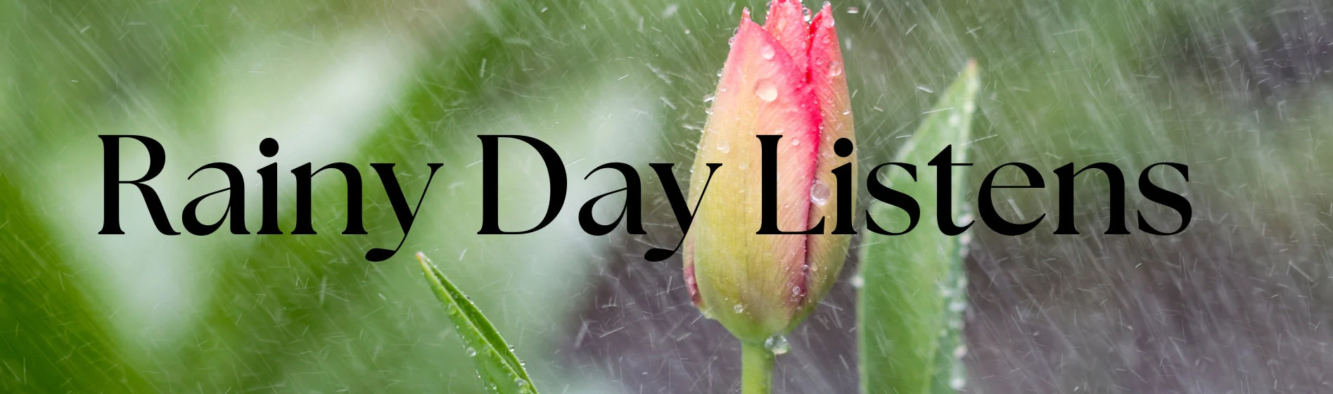 Rainy Day Listens