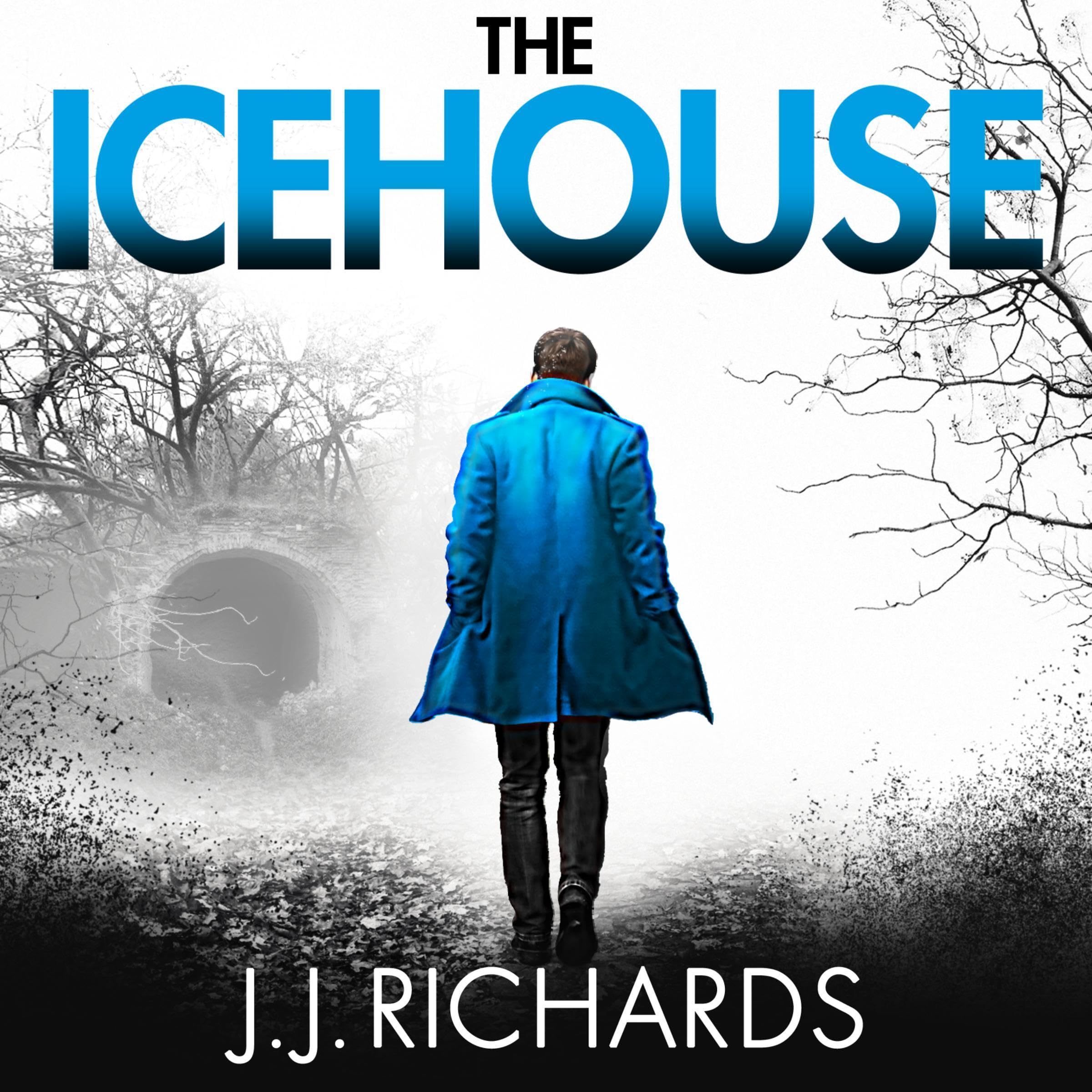The Icehouse (DCI Walker Crime Thrillers Book 1)