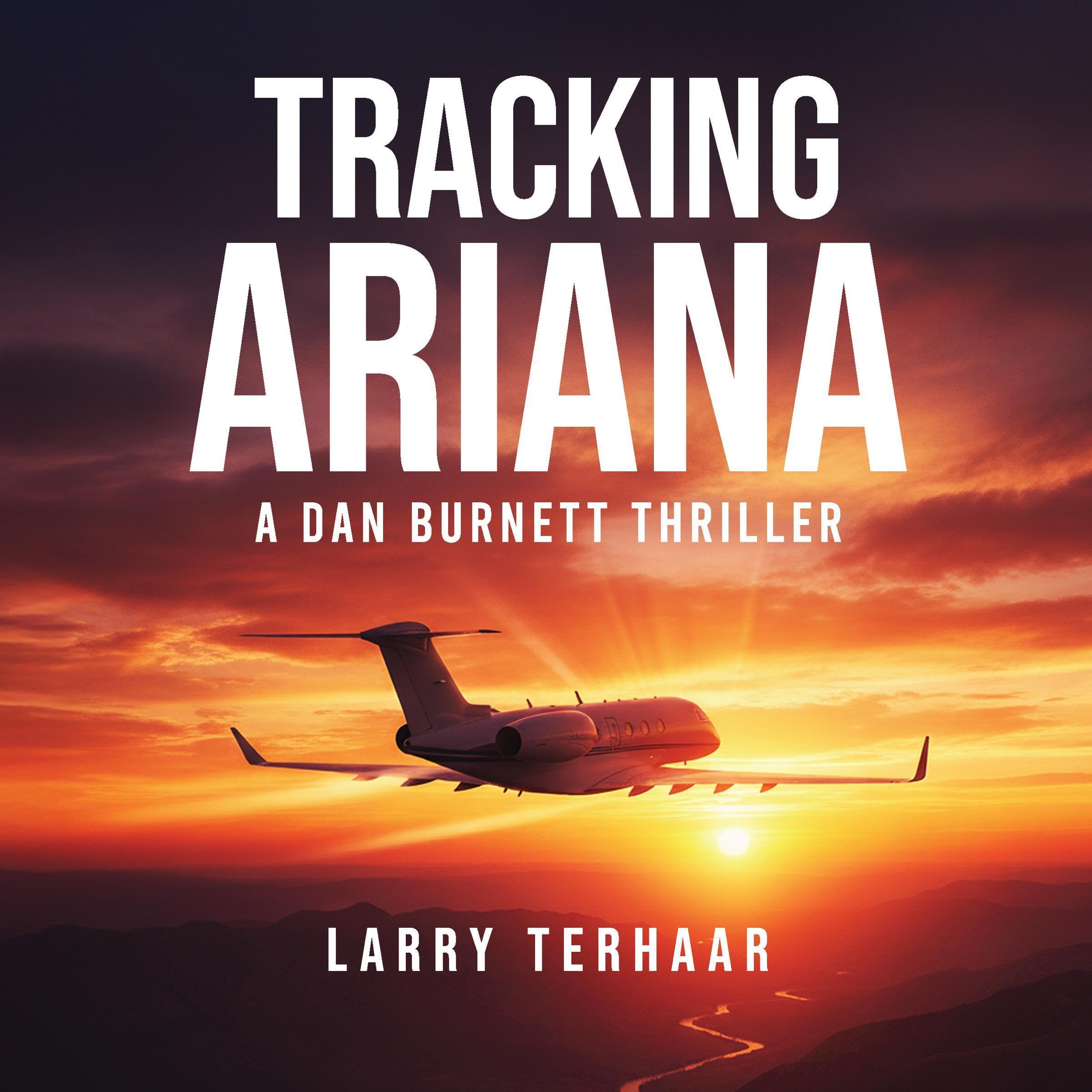 Tracking Ariana (A Dan Burnett Private Detective Mystery/Thiller Book 4)
